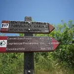 Wiki Colive