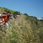 Wiki Colive * Zagarolo