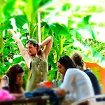 Wiki Colive Auberge de jeunesse *