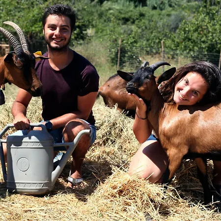 אכסניה Wiki Colive - Adults Only & Pet Friendly Zagarolo