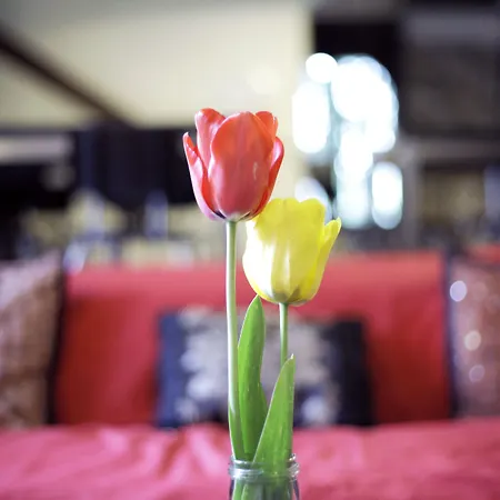 Wiki Colive Hostel Zagarolo