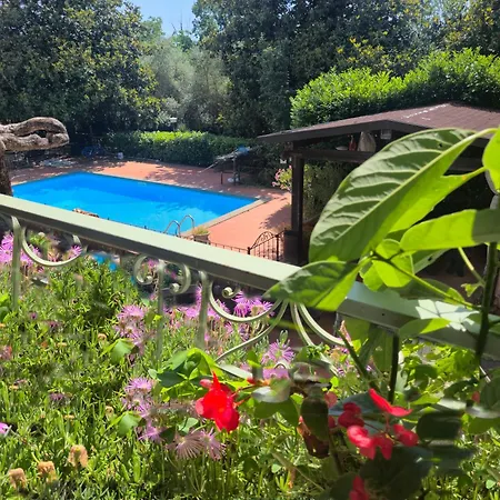 Wiki Colive - Adults Only & Pet Friendly * Zagarolo
