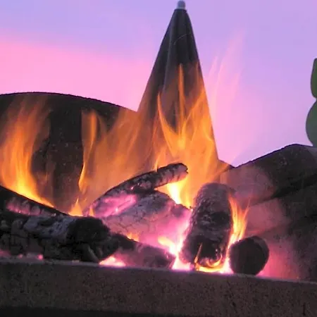 Hostel Wiki Colive - Adults Only & Pet Friendly *