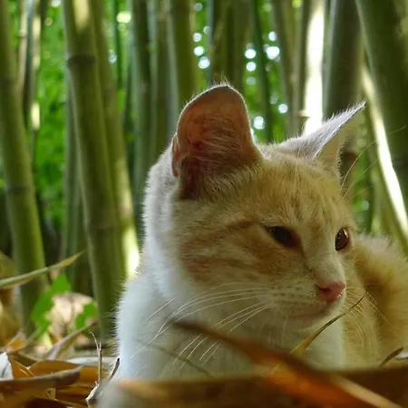 Wiki Colive Zagarolo