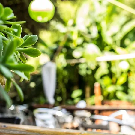 Wiki Colive Hostel *