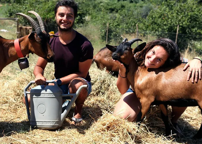 Albergue Wiki Colive Zagarolo