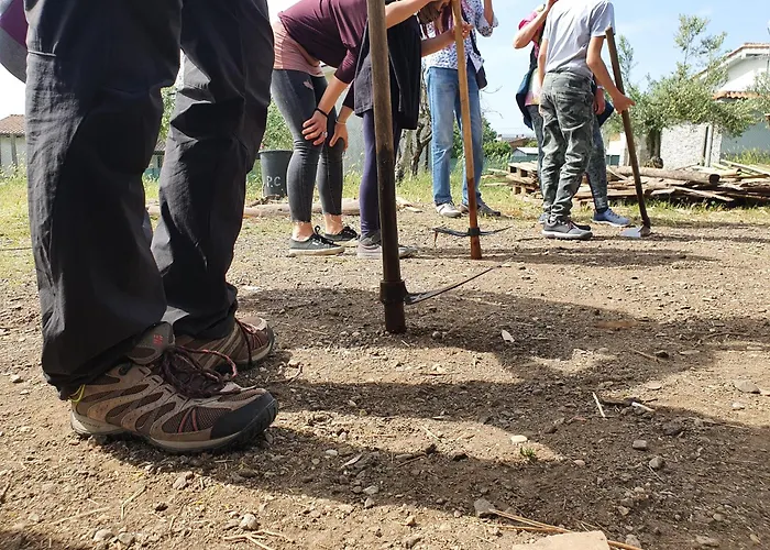 Wiki Colive Hostel *