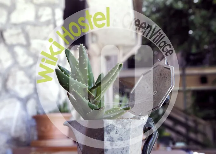 Wiki Colive Albergue Zagarolo